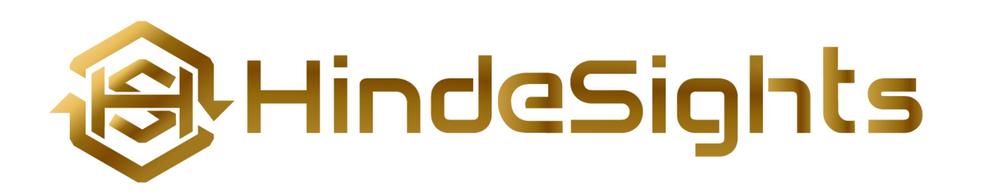 HindeSights Logo