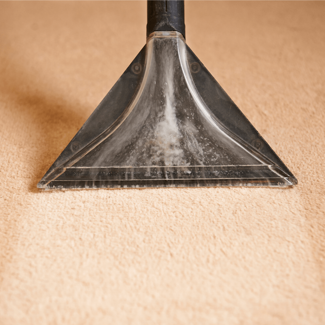 Carpet cleaning