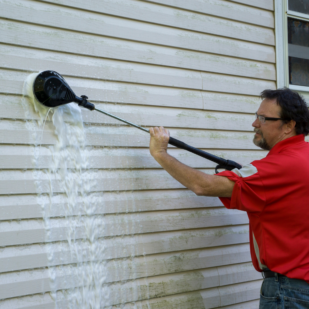 Mildew_treatment