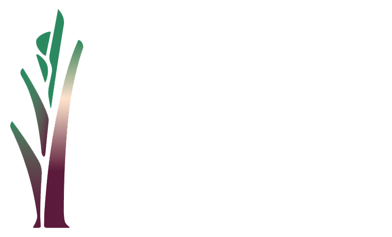 Go Local Solar