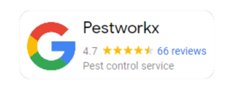 Google Reviews Pestworkx