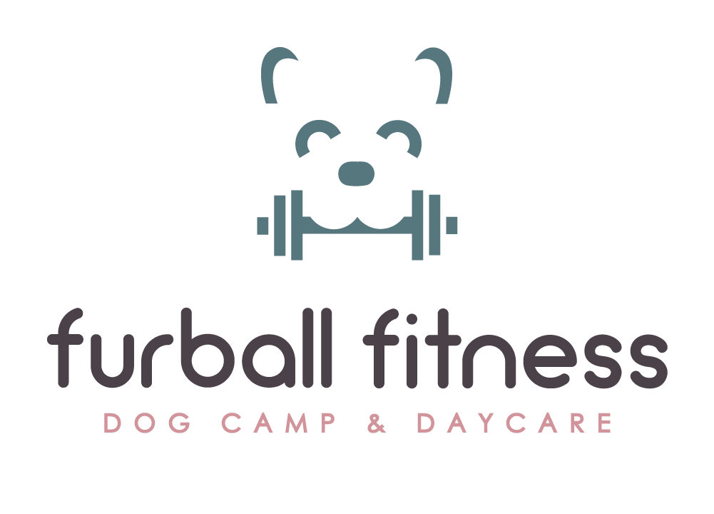 Furball Fitness Oakland