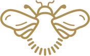 Ty Hapus Logo Motif