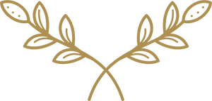 Ty Hapus Logo Motif