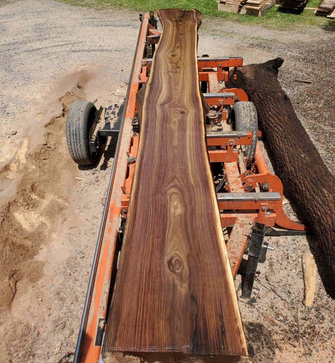 Woodmizer Portable Sawmill