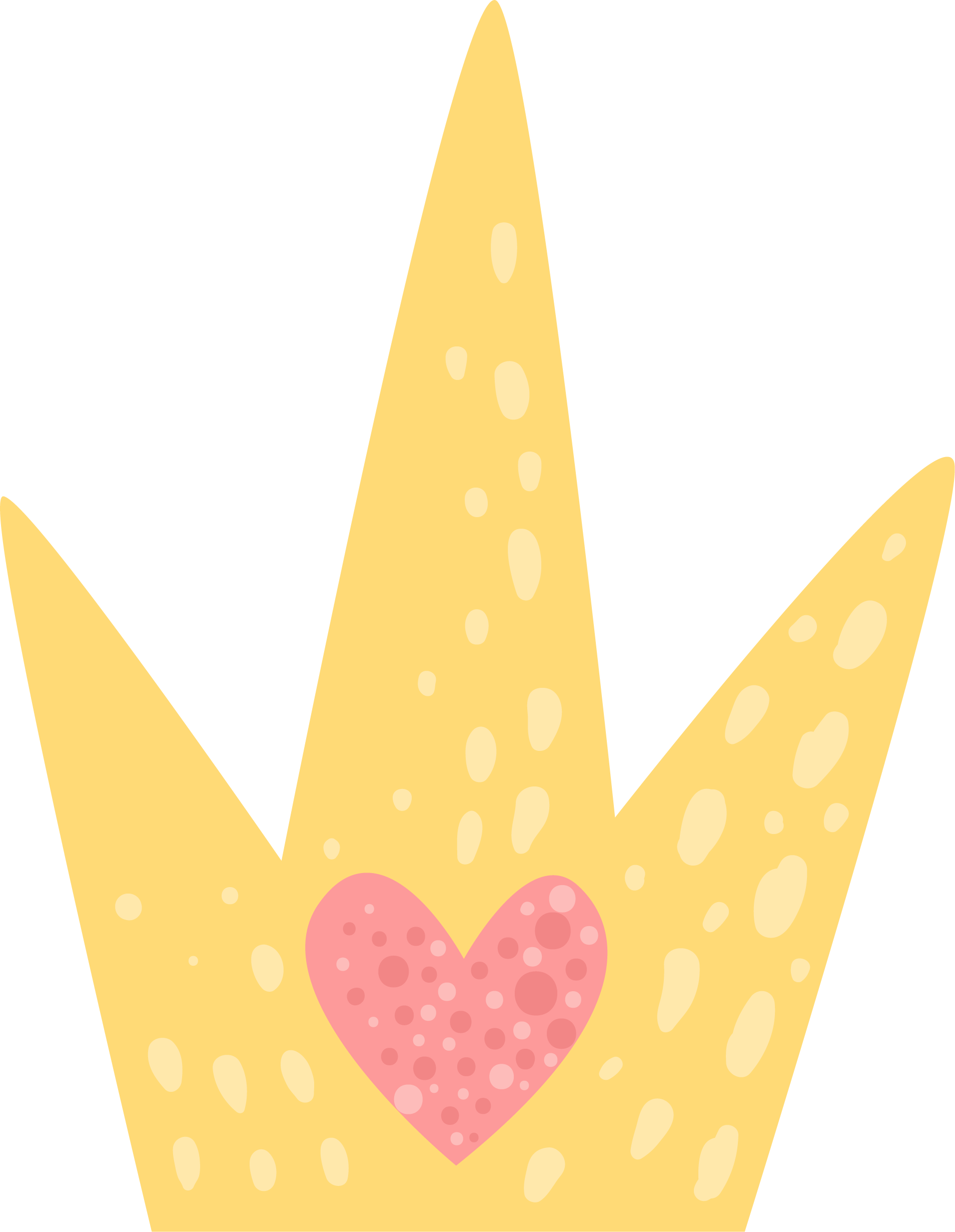 crown