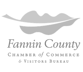 fannin county chamber of commerce logo