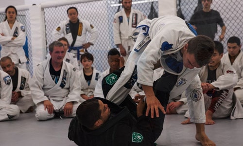 denver bjj