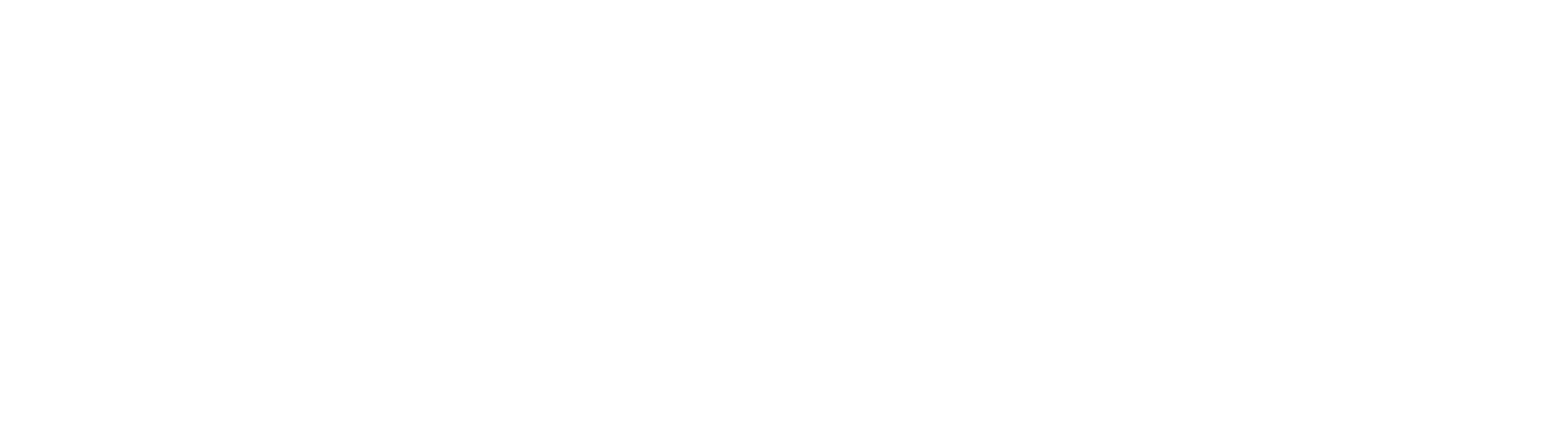 TDC Brand Logo
