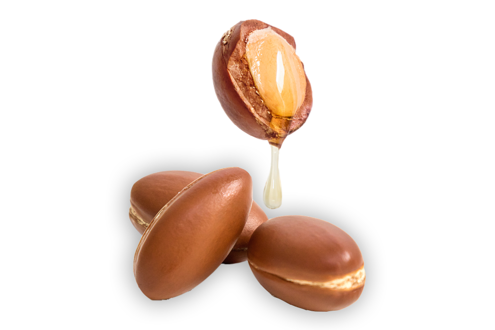 Argan Seed