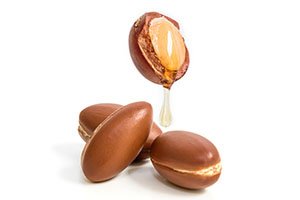 Argan Seed
