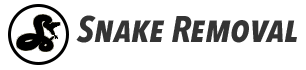 Snake Removal