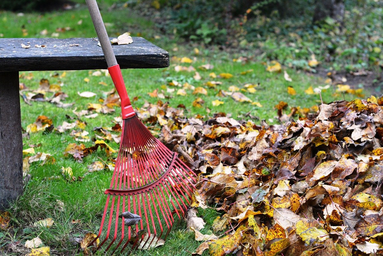 spokane yard cleanup