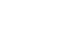 Check Engine icon