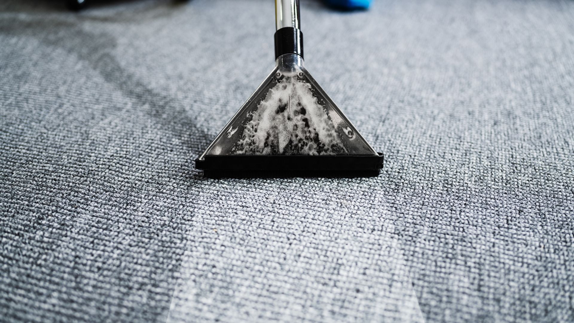 Best Carpet Cleaning in Fredericksburg