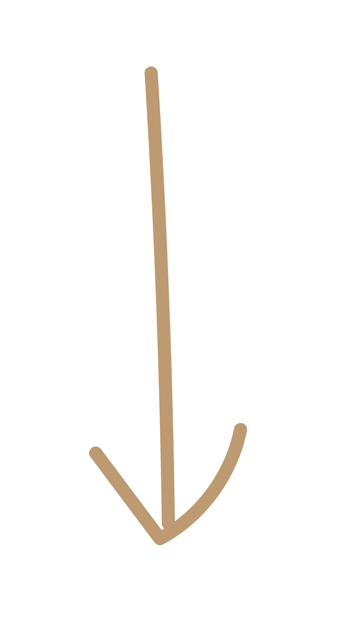 Funnel • Shop Templates for your Funnels